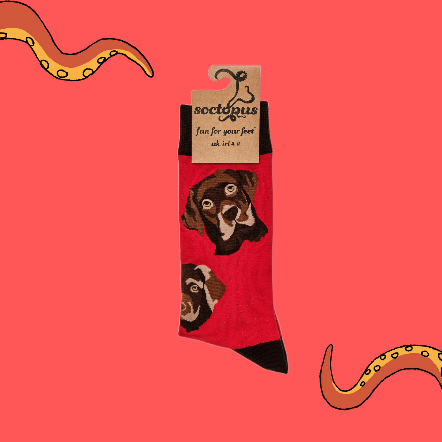 A pair of socks depicting chocolate Labradors. Red legs, brown cuff, heel and toe. In Soctopus Packaging.