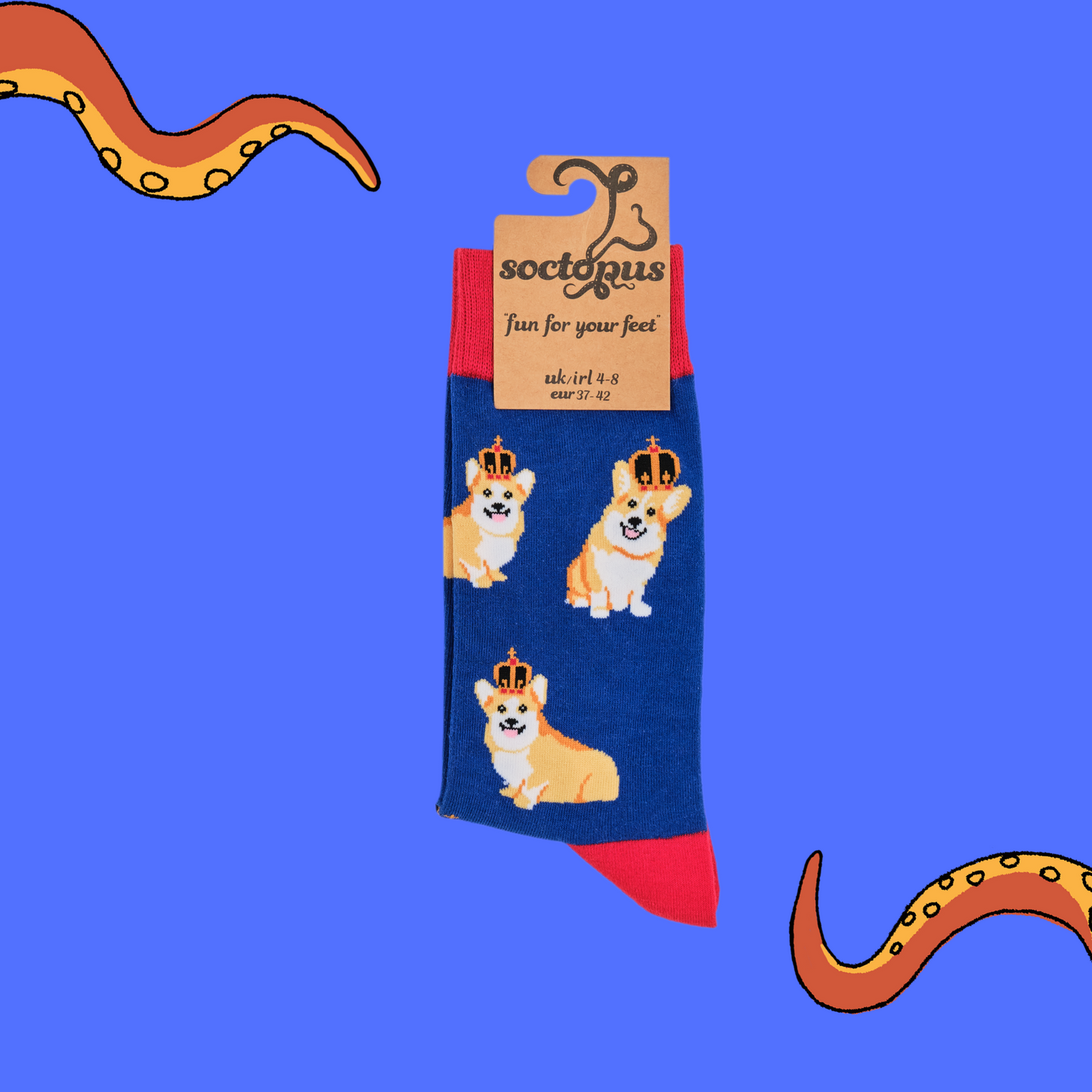 A pair of socks depicting corgis wearing crowns. Blue legs, red cuff, heel and toe. In Socktopus Packaging.