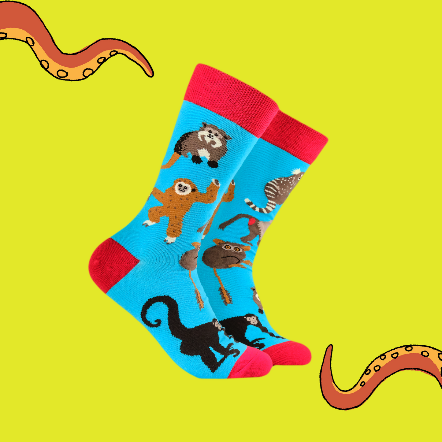 A pair of socks featuring a monkey motif. Bright blue legs and red heel, toe and cuff.
