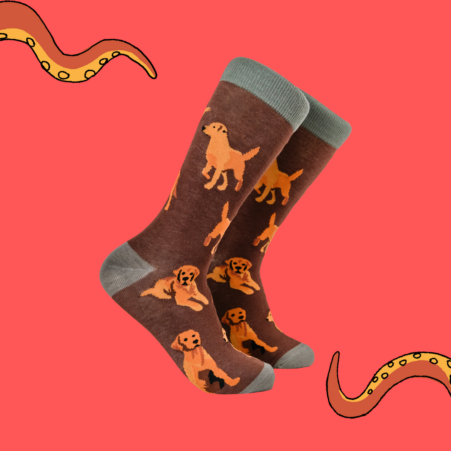 A pair of socks with a labrador motif. Brown legs, heel, toe and cuff.