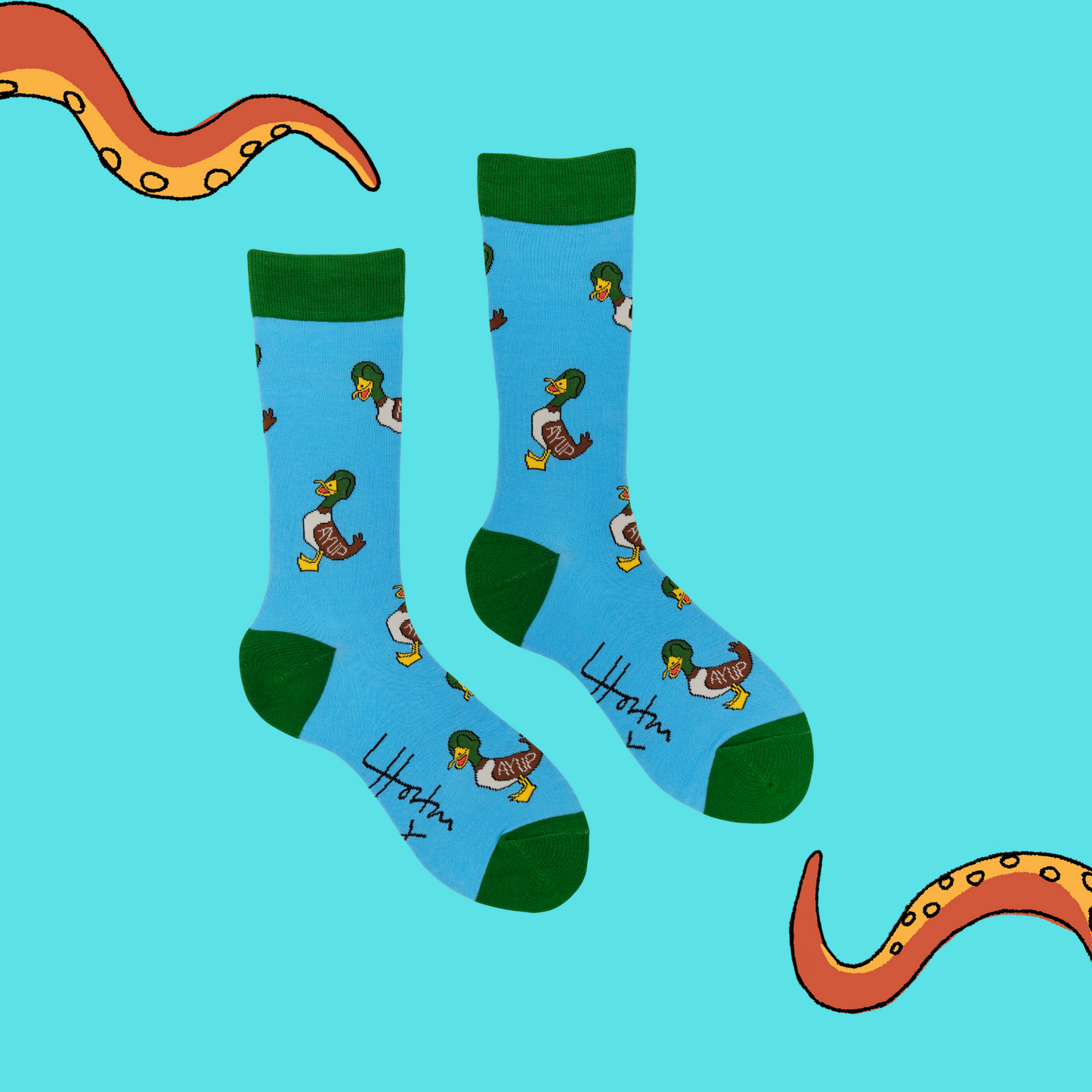 A pair of socks with a yorkshire motif. Blue legs, green heel, toe and cuff.