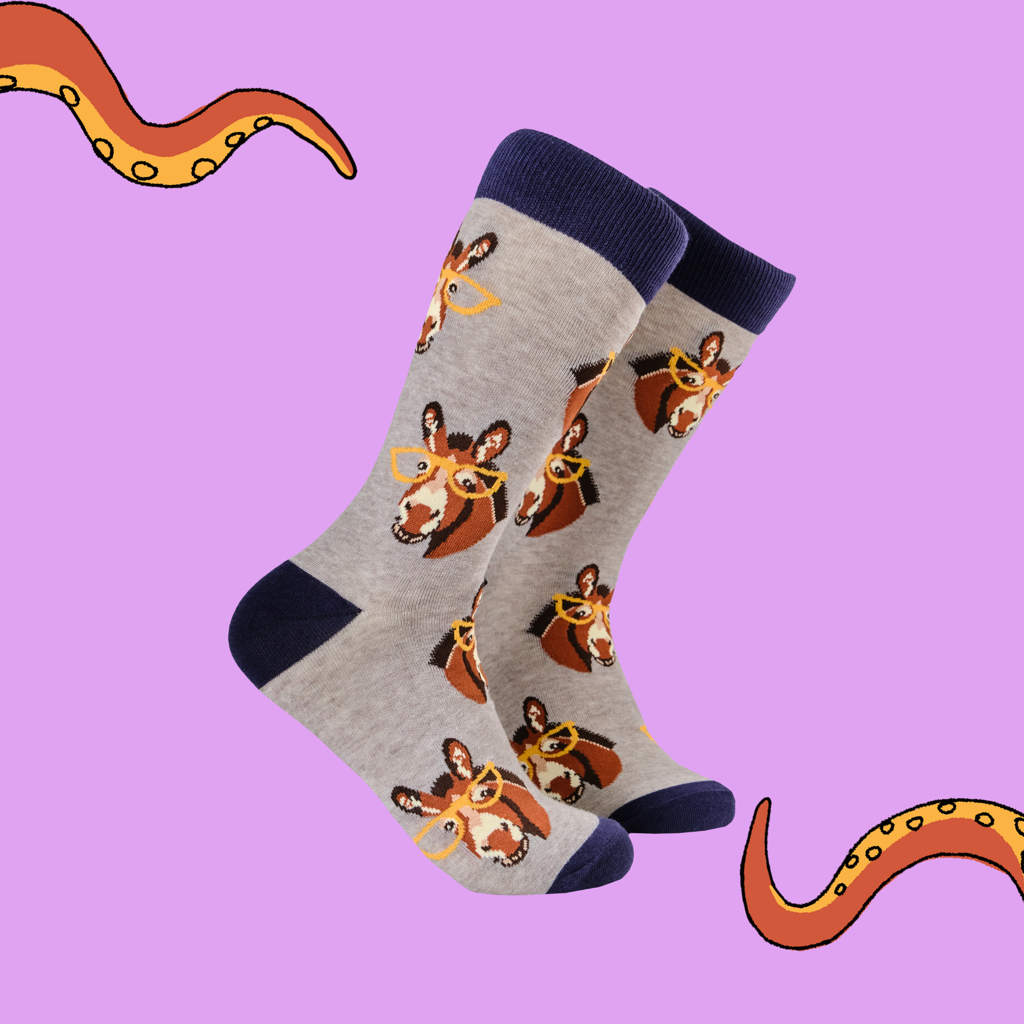 Donkey Socks - Smart Ass - Socktopus