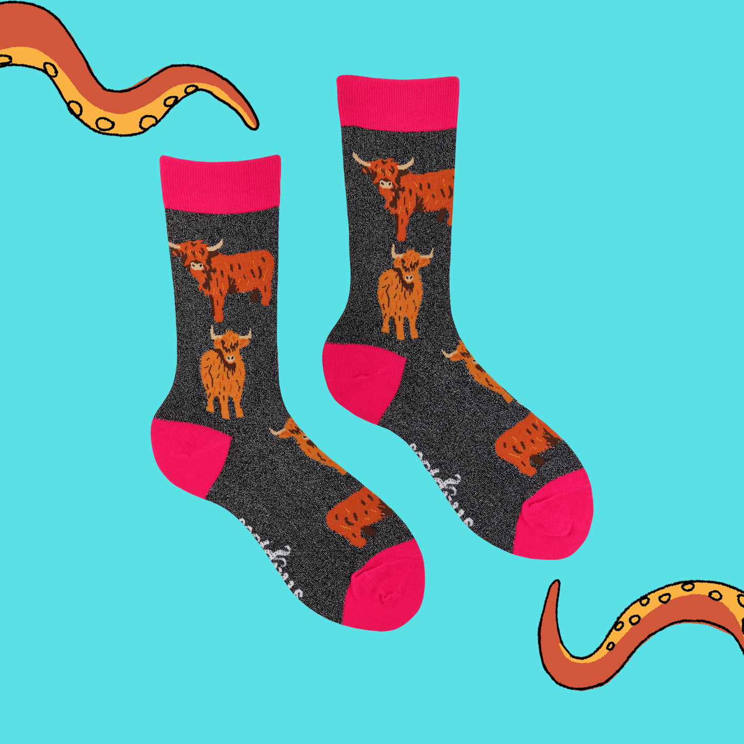 A pair of socks featuring highland cows. Grey legs, pink heel toe and cuff.