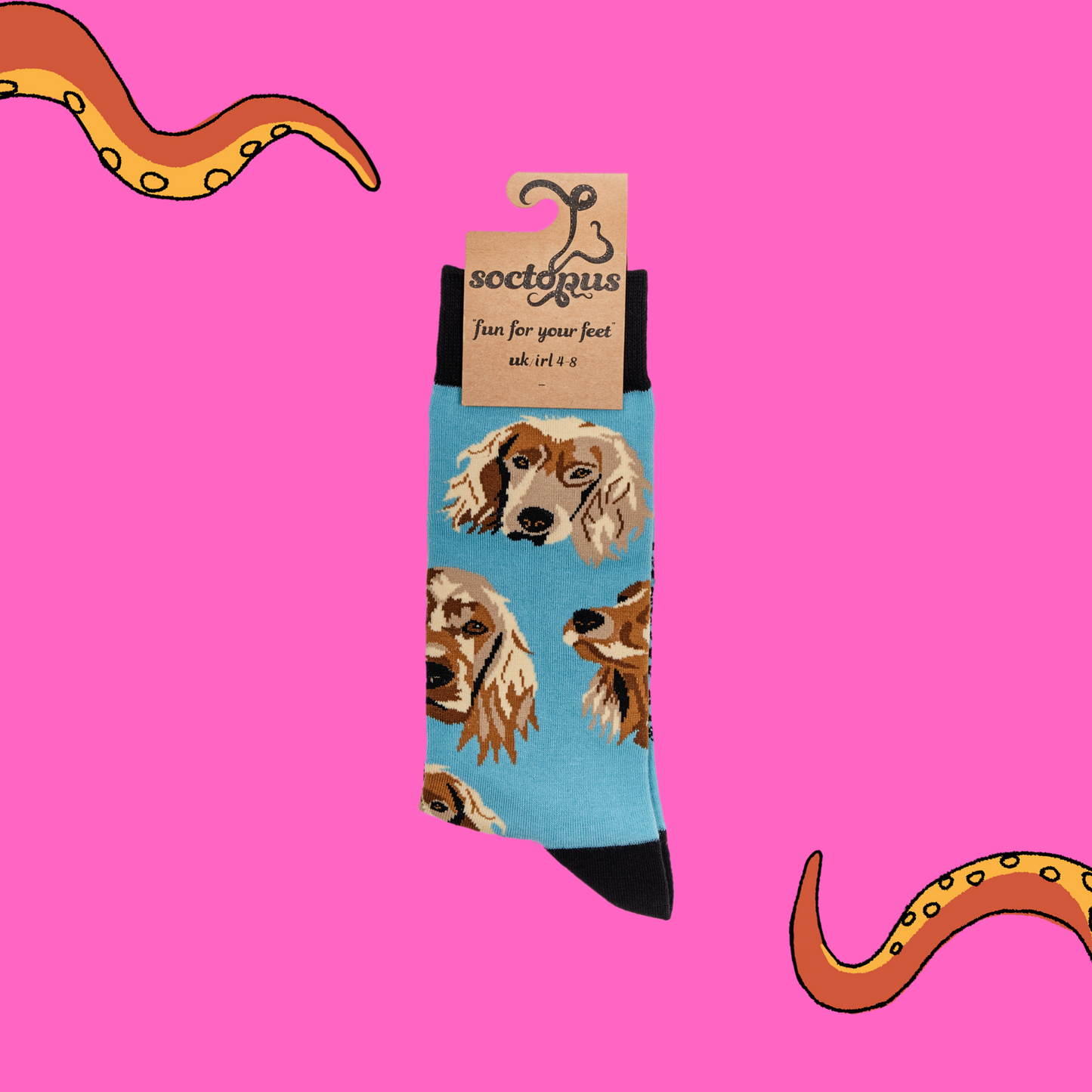 A pair of socks depicting cocker spaniels. Blue legs, black cuff, heel and toe. In Soctopus Packaging.