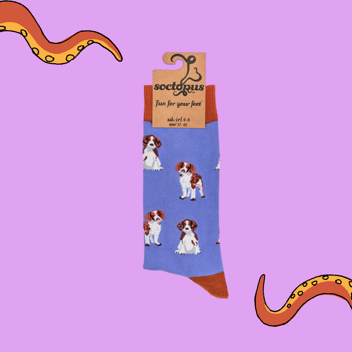 A pair of socks depicting spaniels. Purple legs, red cuff, heel and toe. In Soctopus Packaging.