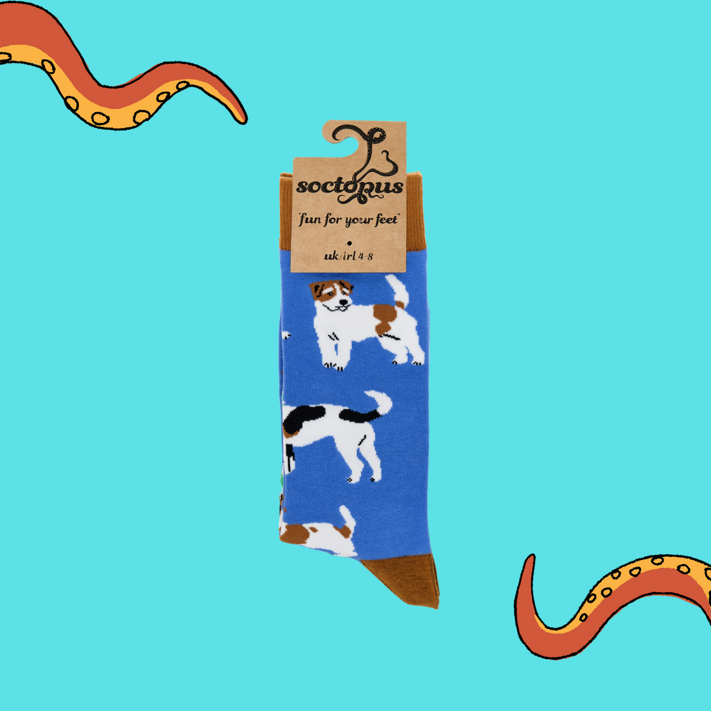 A pair of socks depicting jack russel dogs. Blue legs, brown cuff, heel and toe. In Soctopus Packaging.