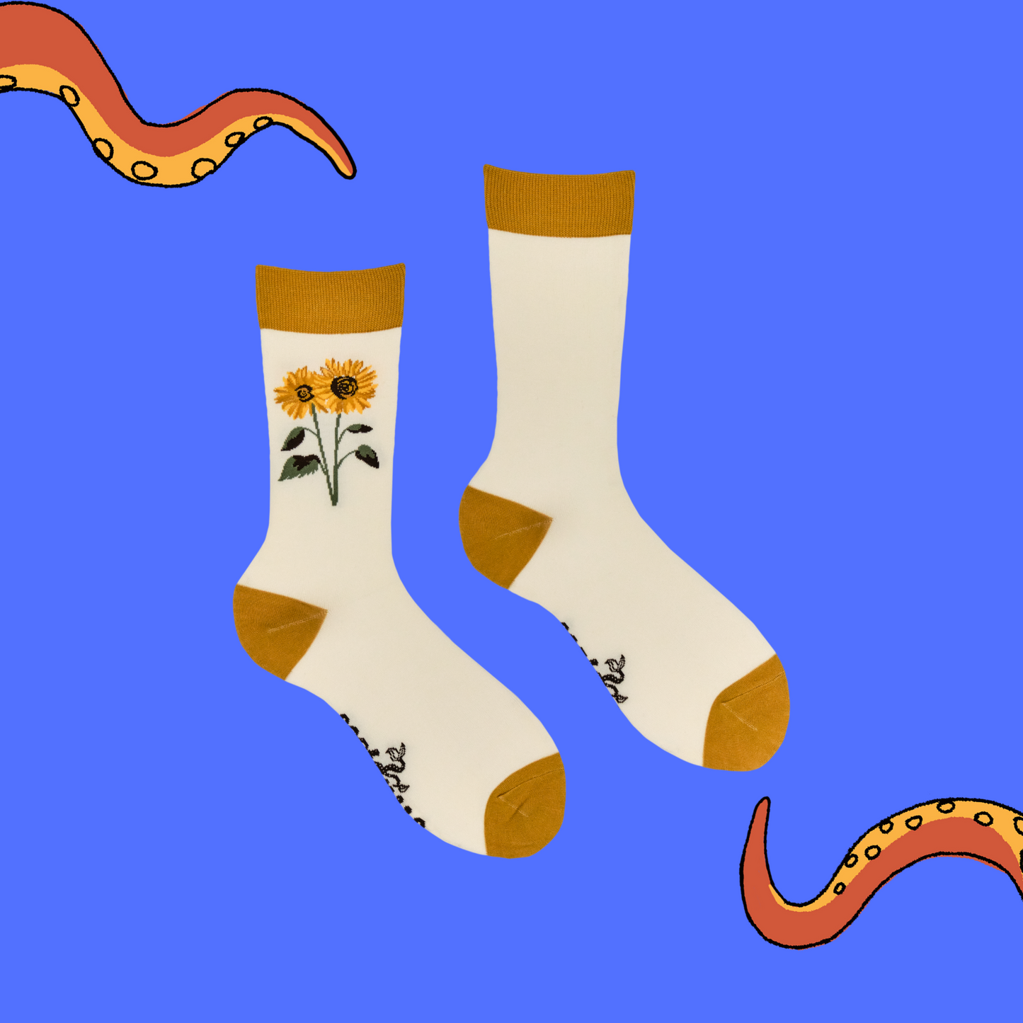 cream socks with sunflower design on a blue background