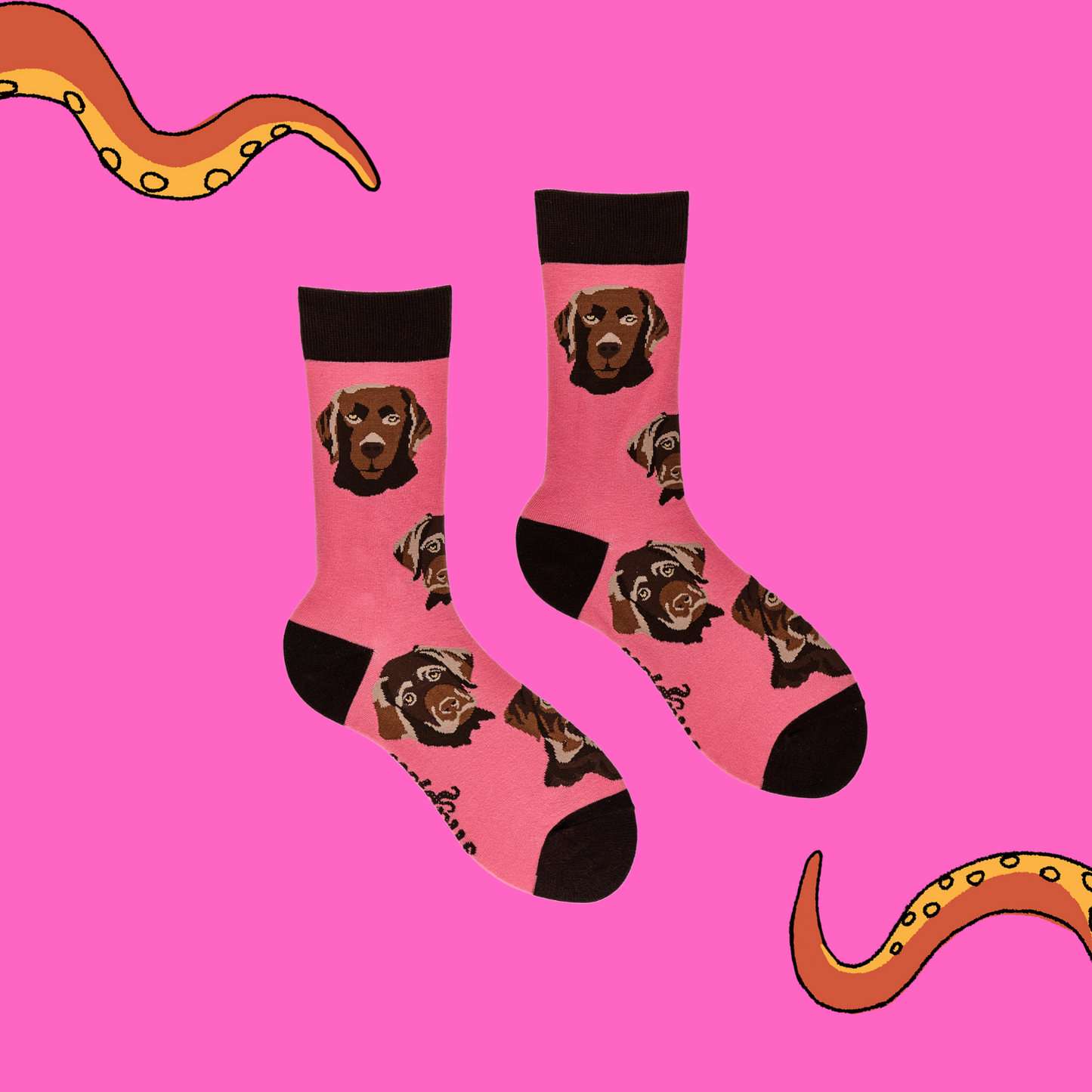 A pair of socks depicting chocolate Labradors. Pink legs, brown cuff, heel and toe.