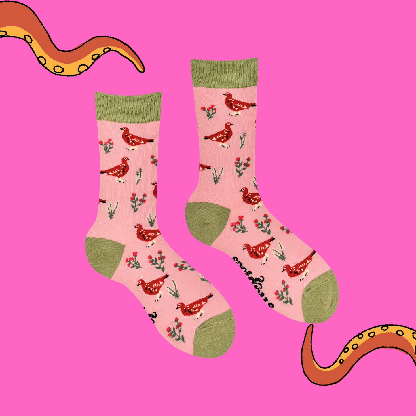 A pair of socks featuring a grouse motif. Pink legs, green heel, toe and cuff.