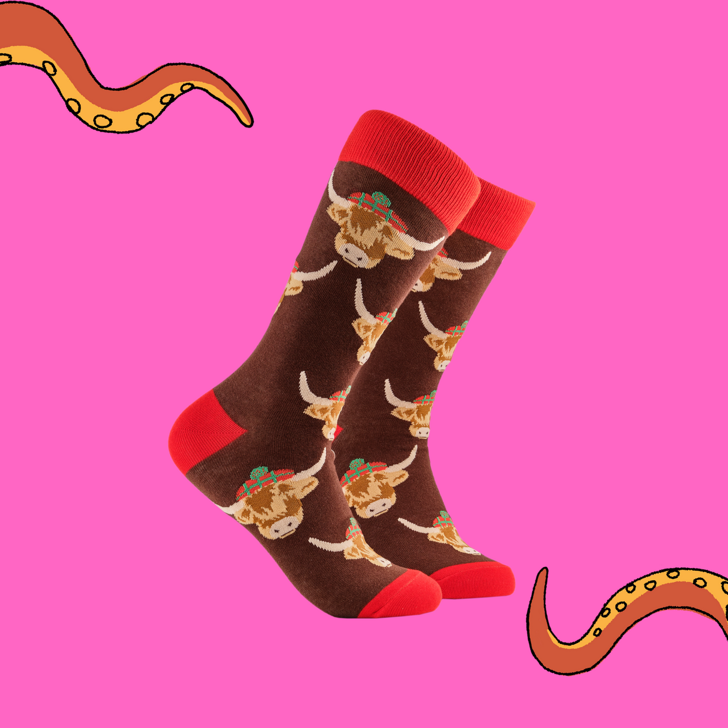 A pair of socks depicting highland cows wearing tartan hats. Brown legs, red cuff, heel and toe.