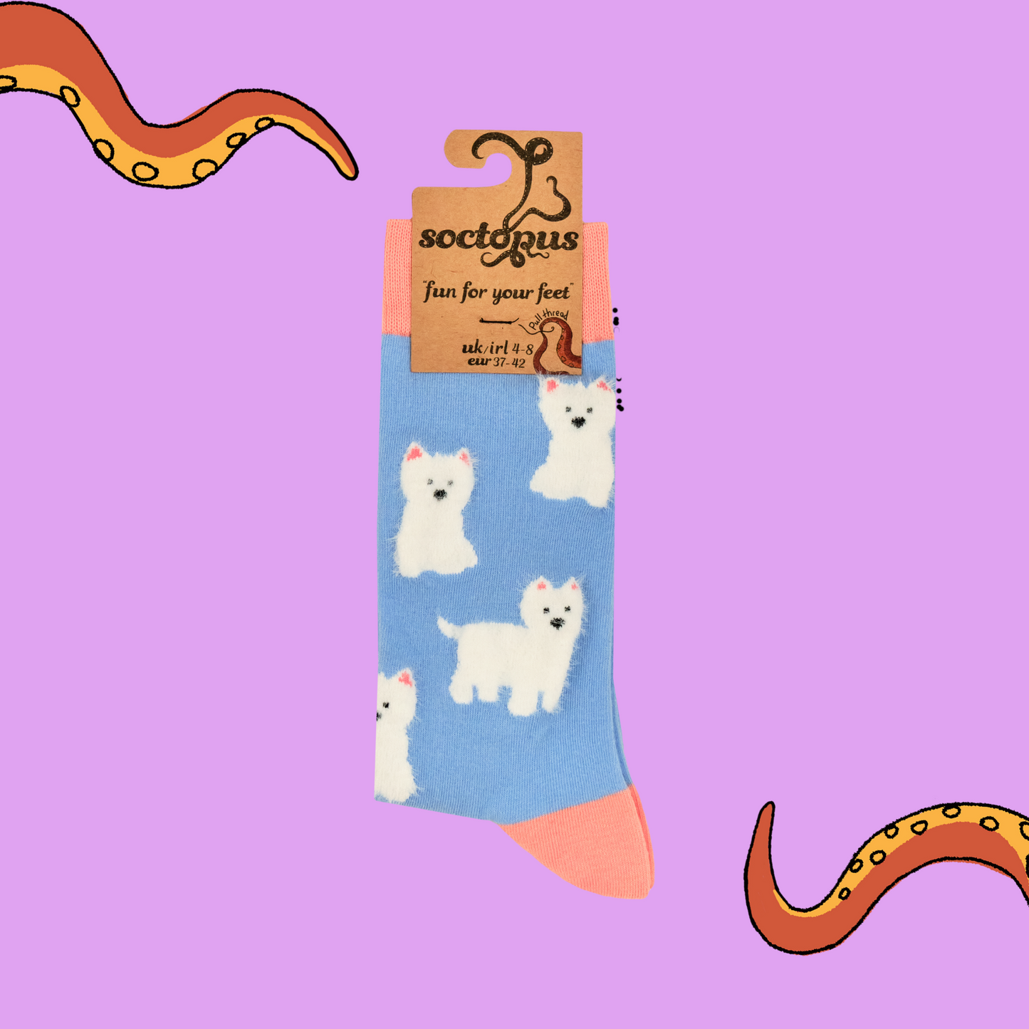 A pair of socks featuring fluffy westie dogs. Light blue legs, peach heel toe and cuff.
