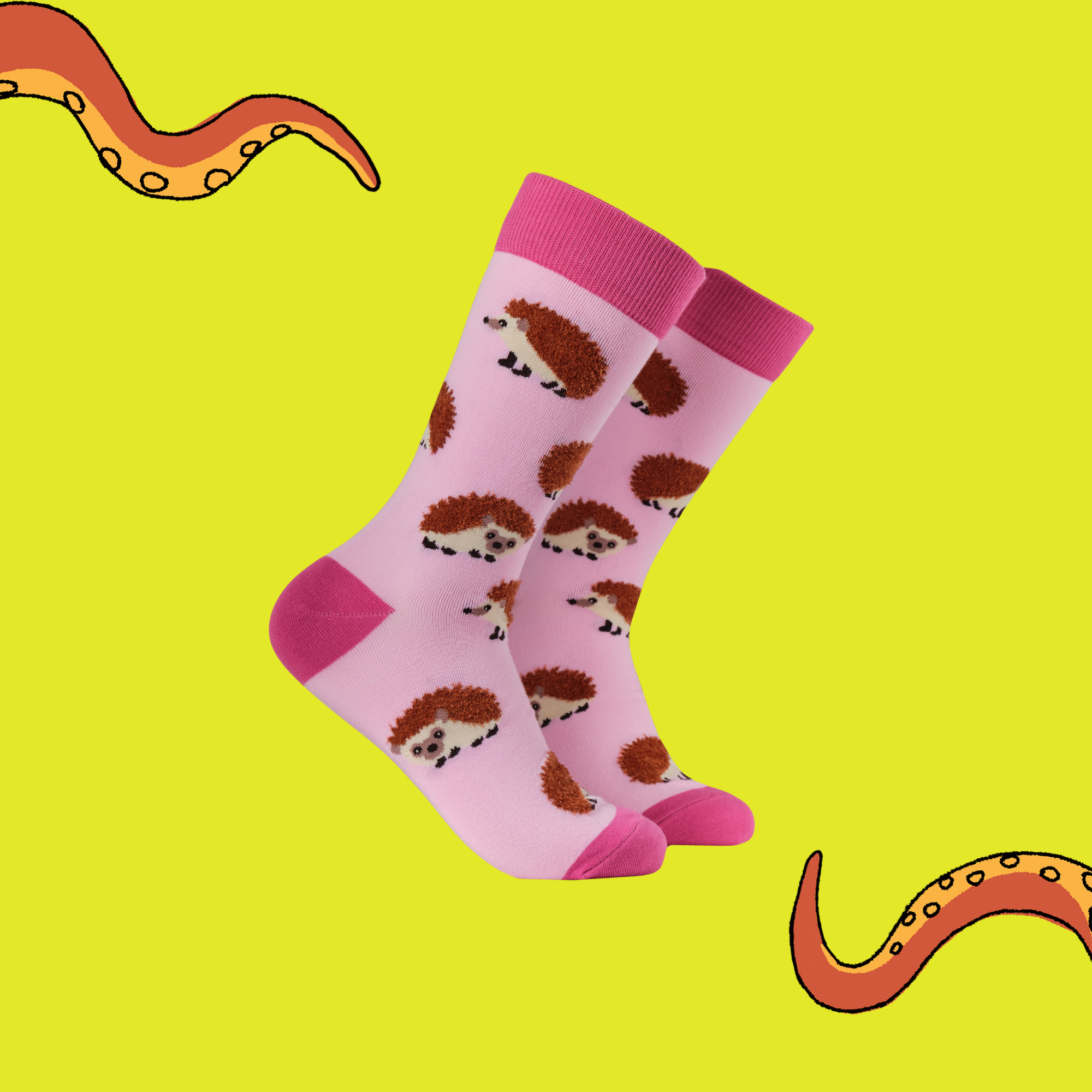 fluffy-hedgehogs-socks-socktopus