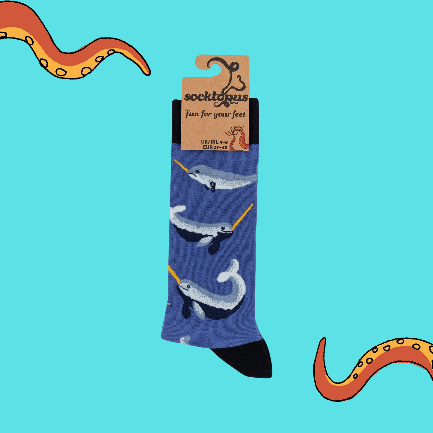 A pair of socks featuring Narwhals. Deep blue legs, black heel, toe and cuff.