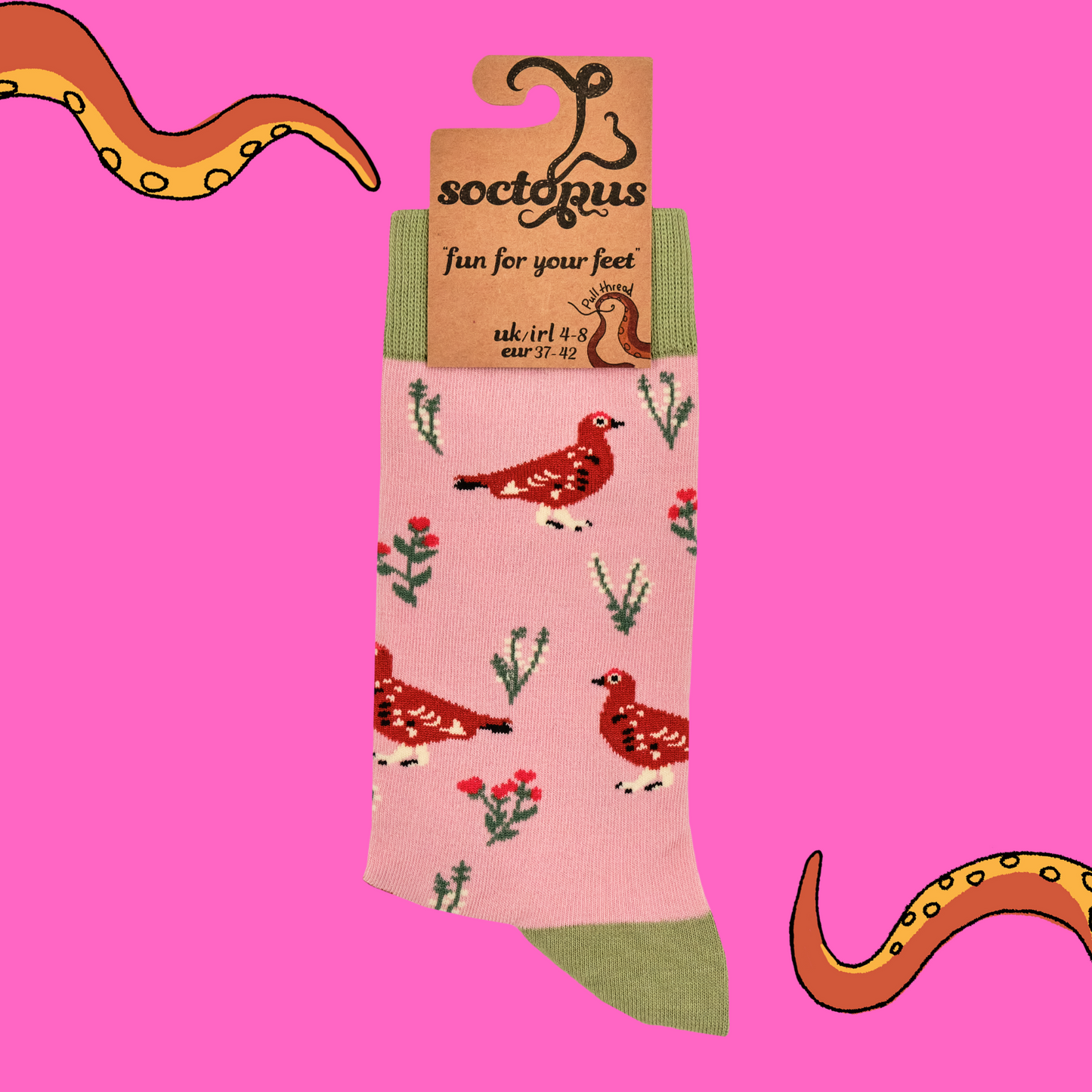 A pair of socks featuring a grouse motif. Pink legs, green heel, toe and cuff.