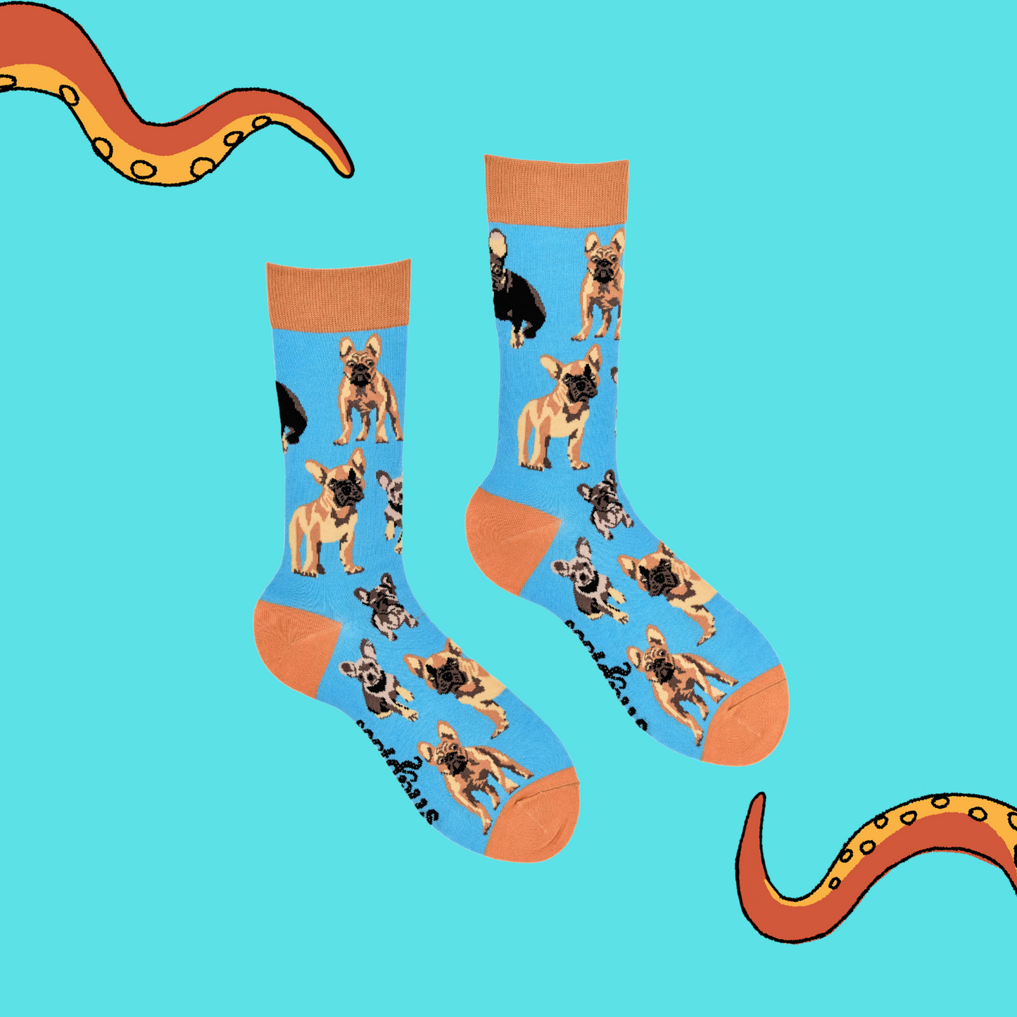 A pair of socks depicting french bulldogs. Blue legs, brown cuff, heel and toe.