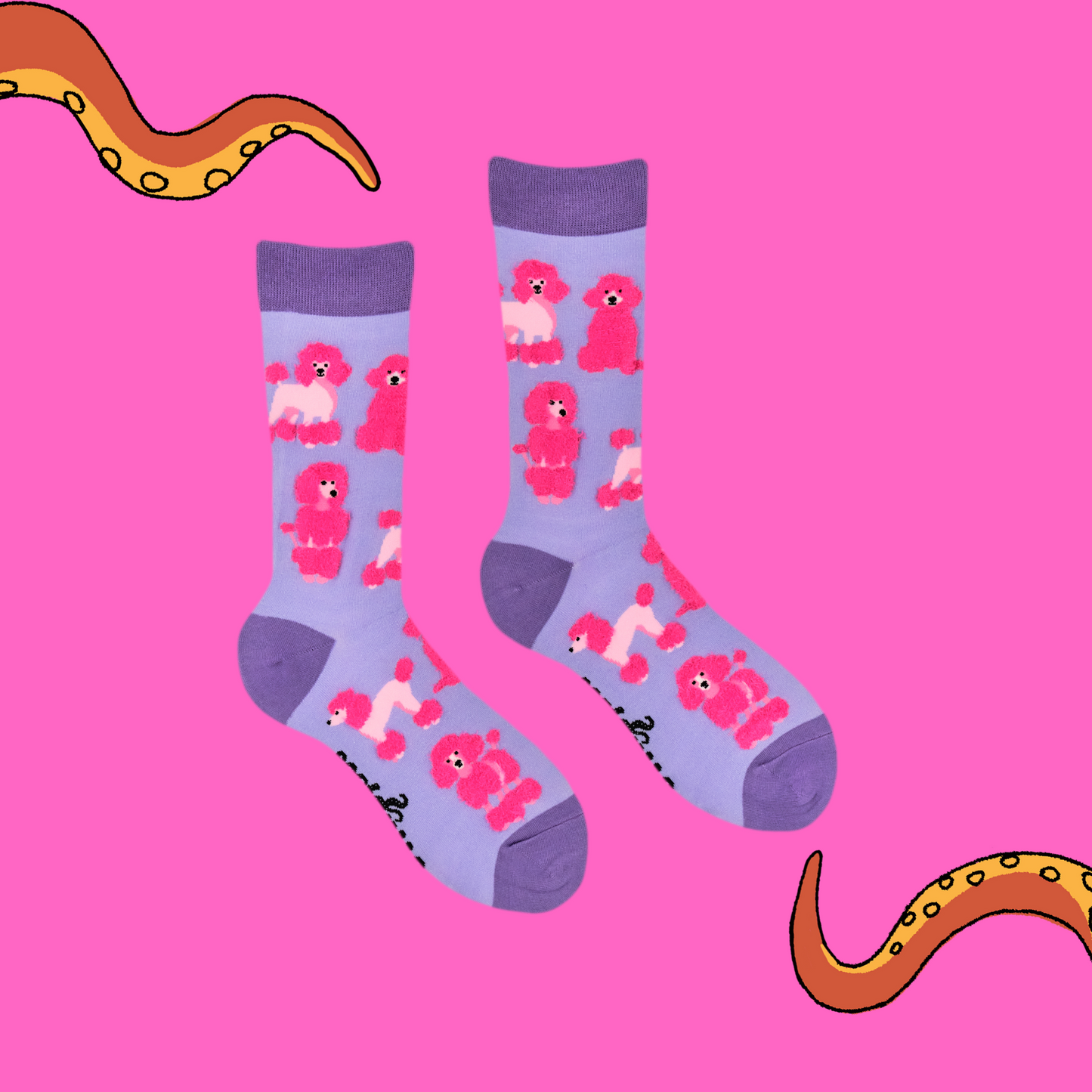 A pair of socks featuring fluffy poodles. Light purple legs, dark purple heel, toe and cuff.
