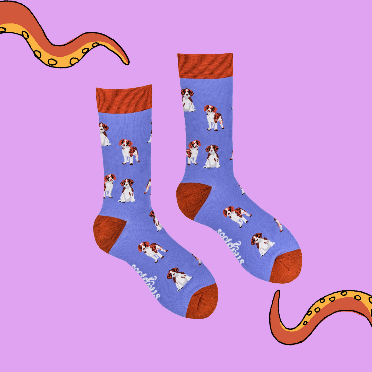 A pair of socks depicting spaniels. Purple legs, red cuff, heel and toe.