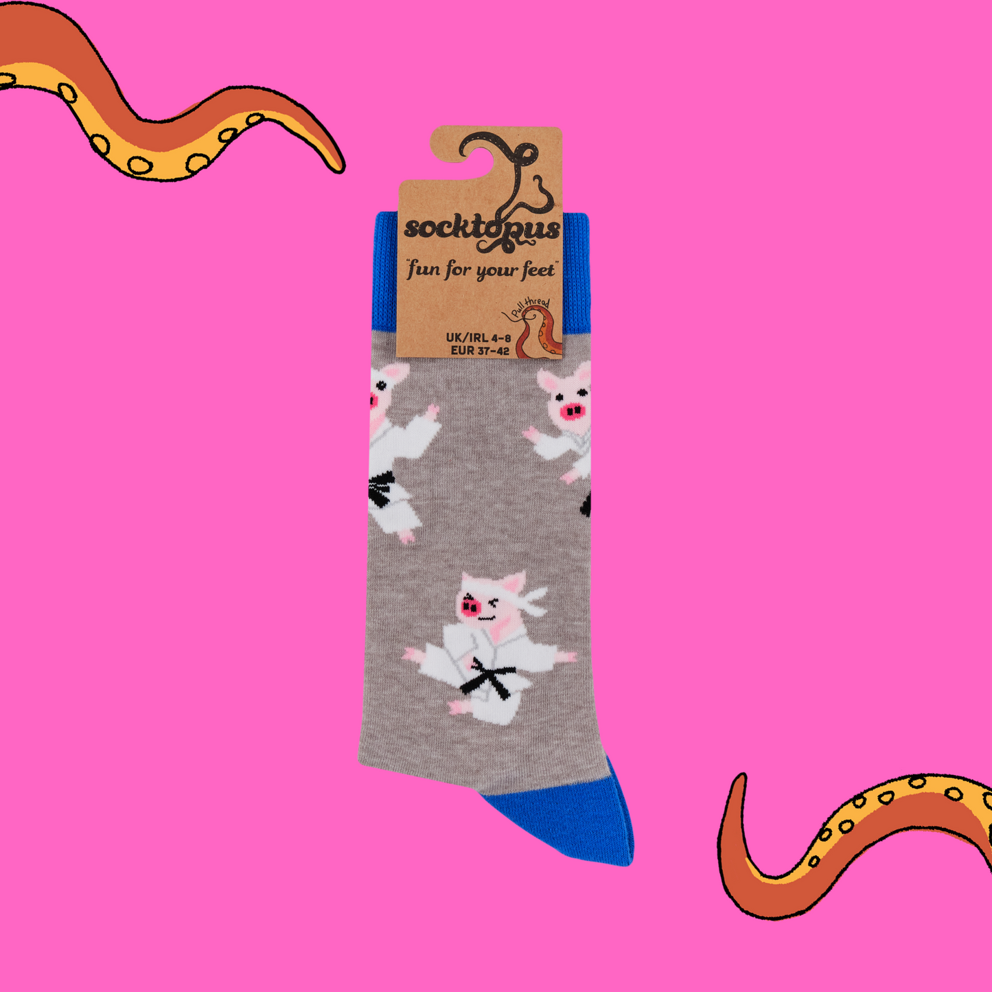 A pair of socks featuring pigs in karate gear. Grey legs, blue heel, toe and cuff.