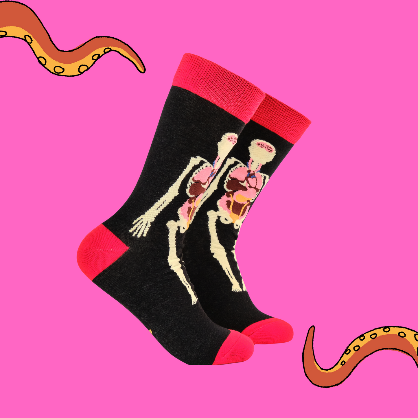 A pair of socks featuring an anatomy model. Black legs, red heel, toe and cuff.