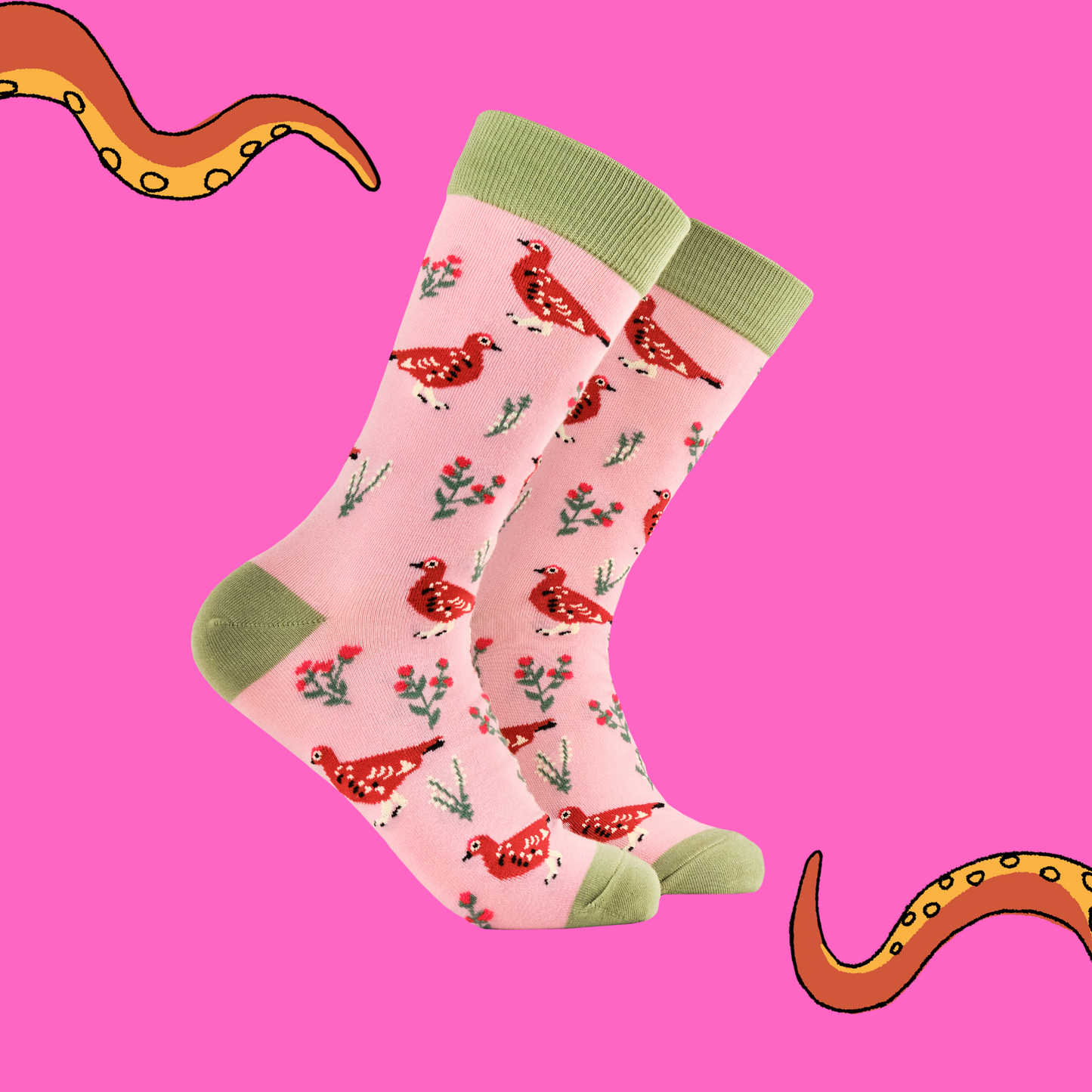 A pair of socks featuring a grouse motif. Pink legs, green heel, toe and cuff.