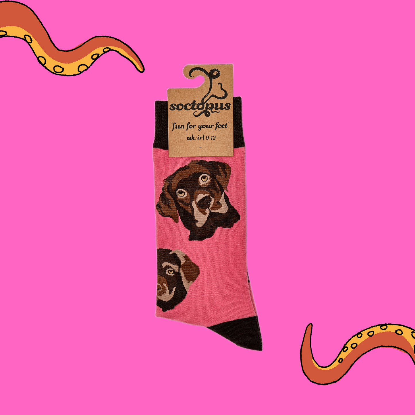 A pair of socks depicting chocolate Labradors. Pink legs, brown cuff, heel and toe. In Soctopus Packaging.