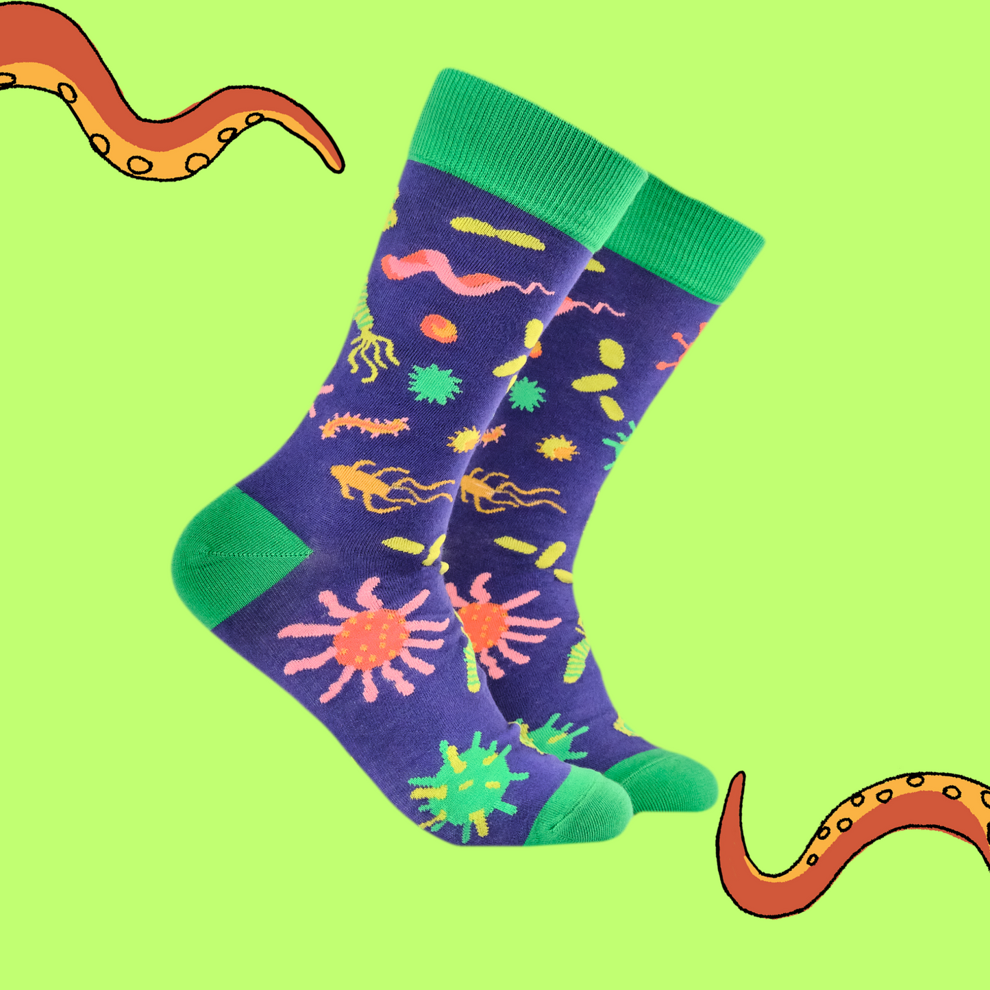 A pair of socks with a bacteria motif. Purple legs, green heel, toe and cuff.
