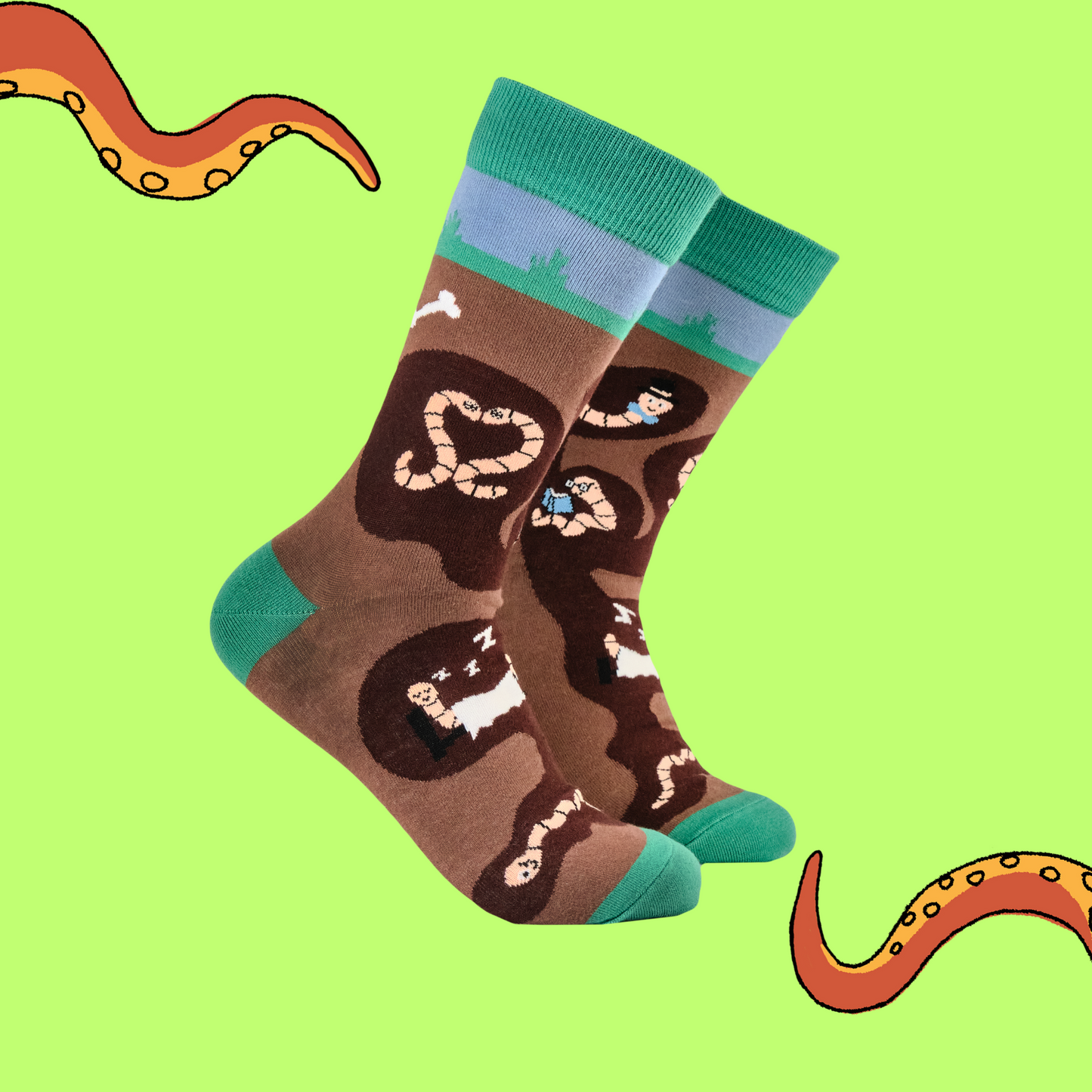Wormery Socks. A pair of socks featuring earthworms. Brown legs, green heel, toe and cuff.