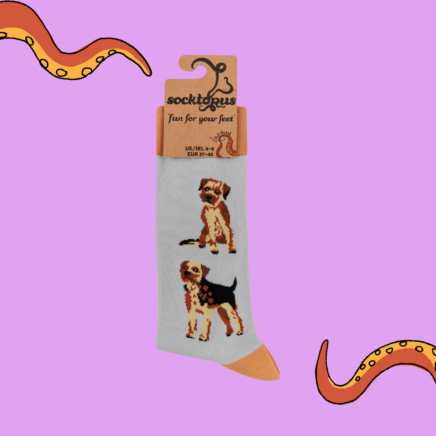 A pair of socks featuring Border Terriers. Grey legs, brown heel, toe and cuff.