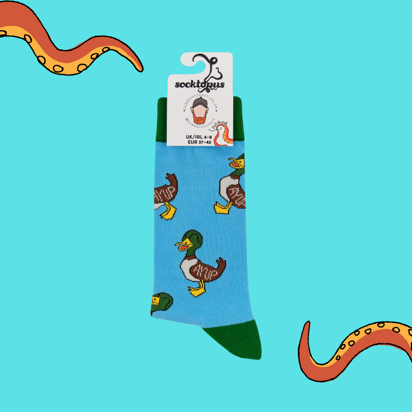A pair of socks with a yorkshire motif. Blue legs, green heel, toe and cuff.