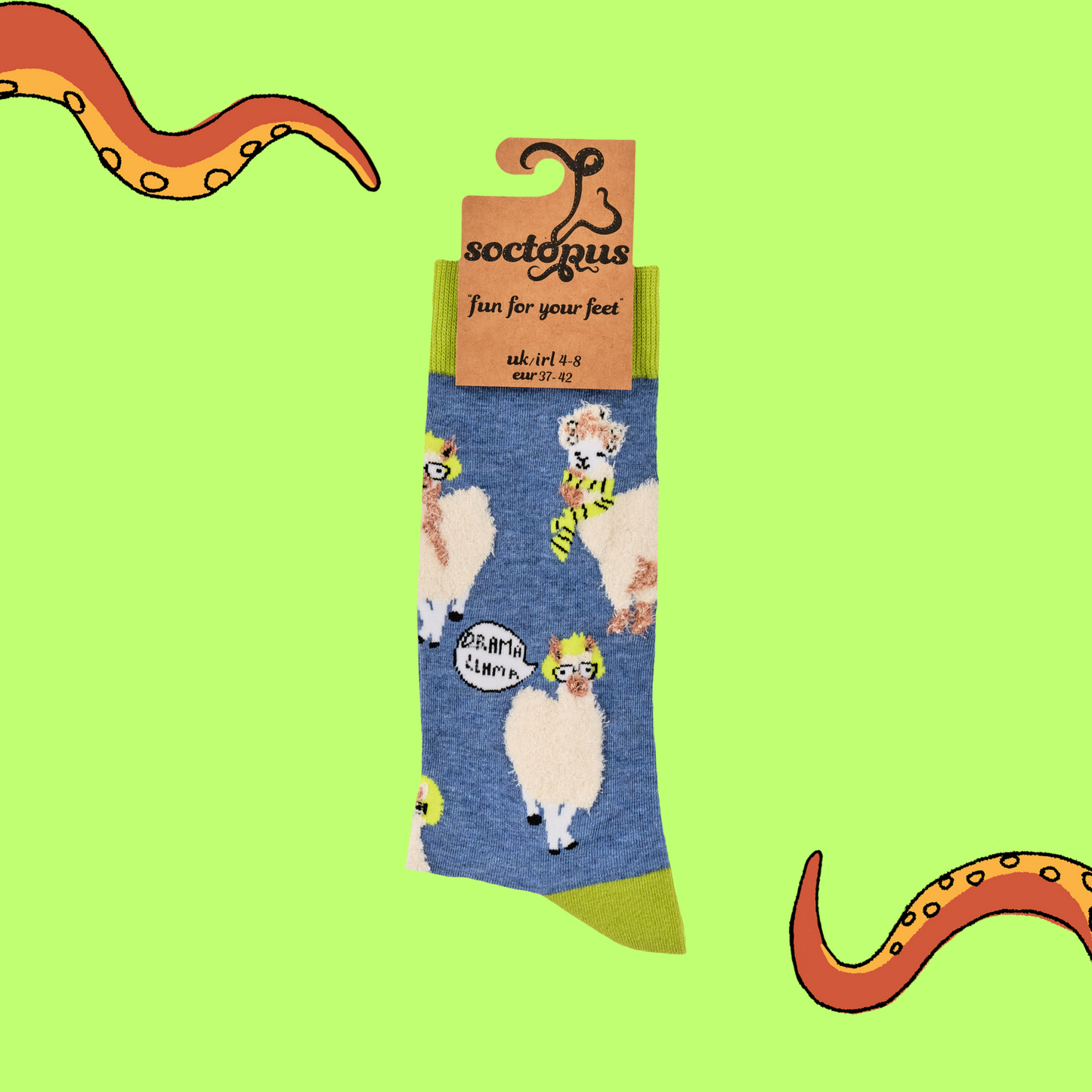 A pair of socks depicting Llamas causing drama. Blue legs, yellow heel, cuff and toe.