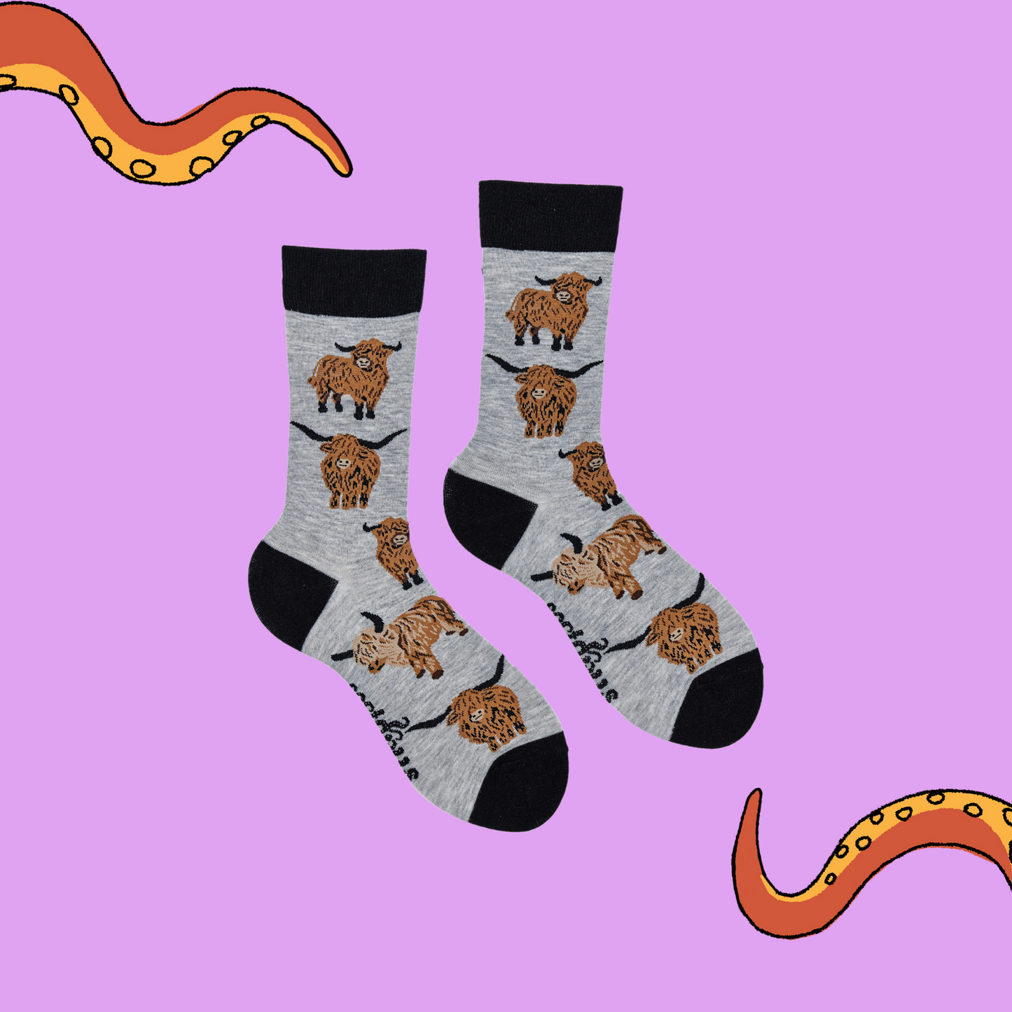 A pair of socks depicting highland cows. Grey legs, black cuff, heel and toe.