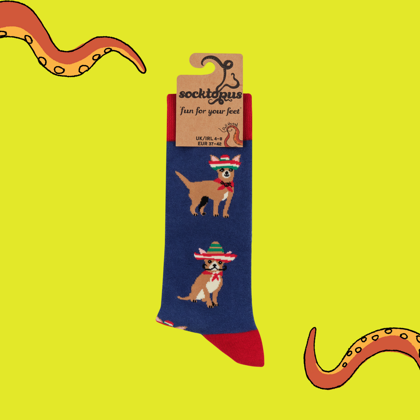 A pair of socks featuring cute chihuahuas. Dark blue legs, red heel, toe and cuff.