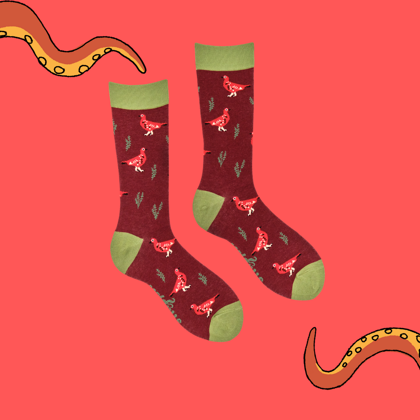 A pair of socks featuring a grouse motif. Red legs, green heel, toe and cuff.