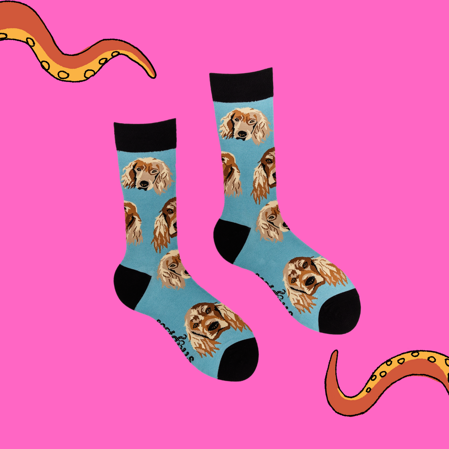 A pair of socks depicting cocker spaniels. Blue legs, black cuff, heel and toe.