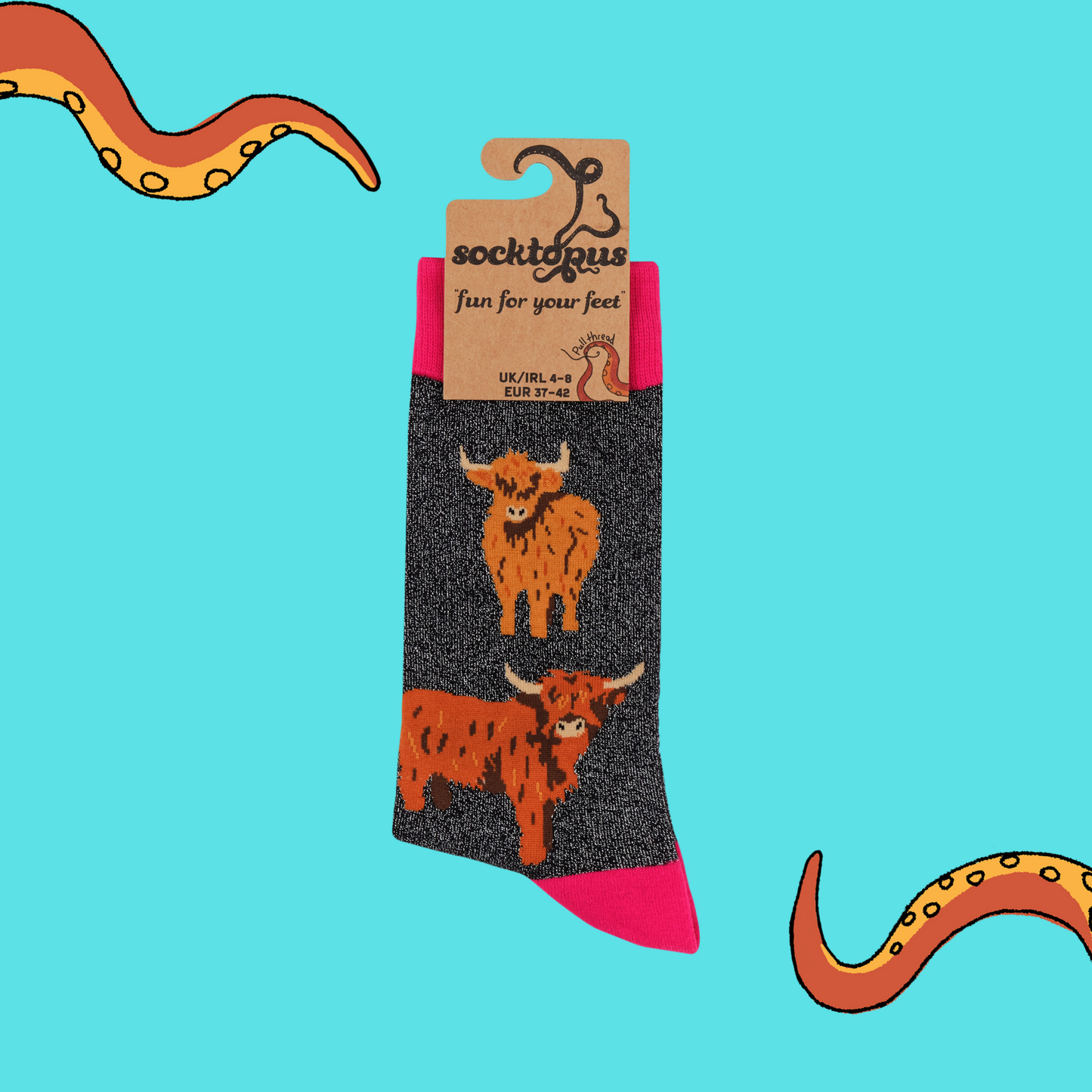 A pair of socks featuring highland cows. Grey legs, pink heel toe and cuff.