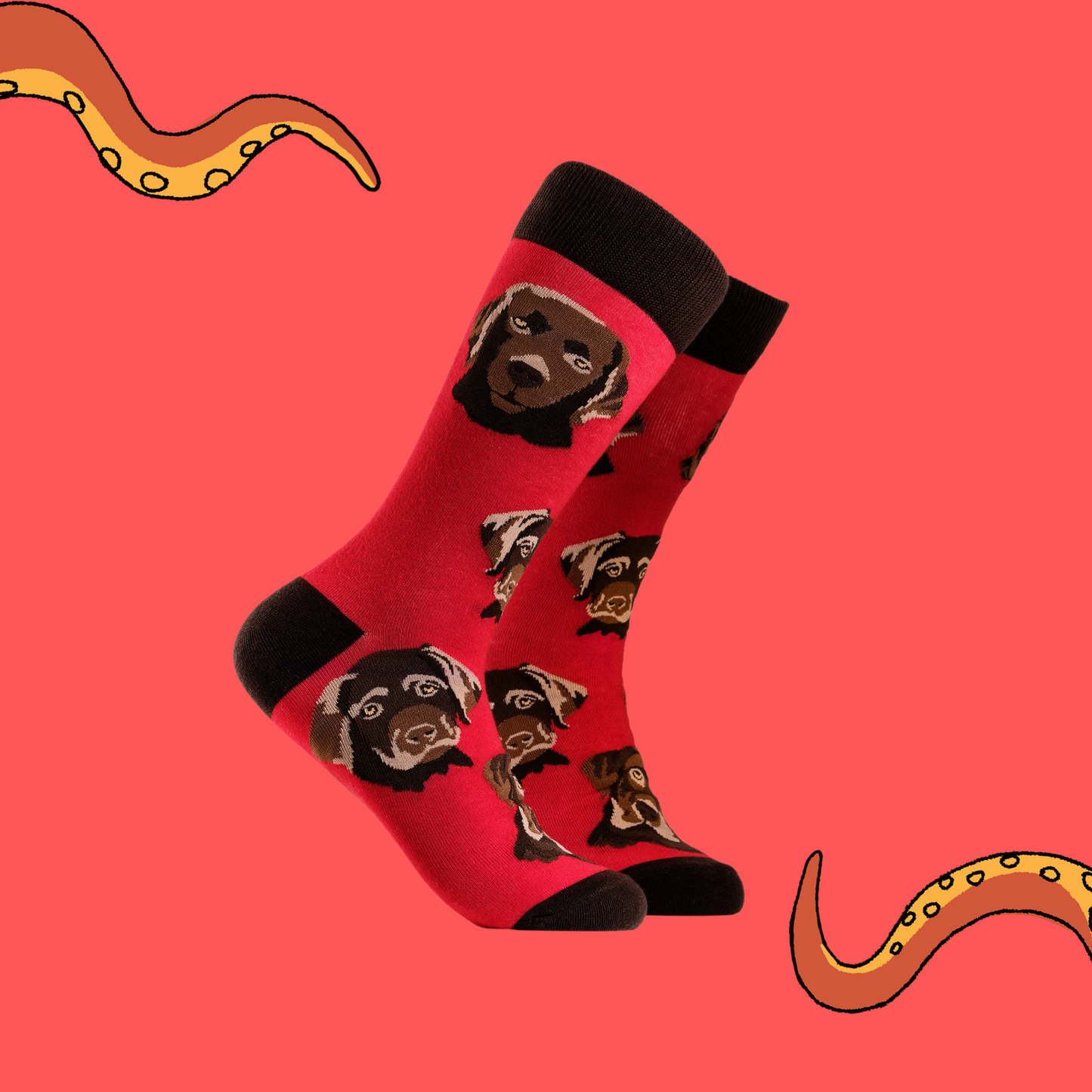 A pair of socks depicting chocolate Labradors. Red legs, brown cuff, heel and toe.