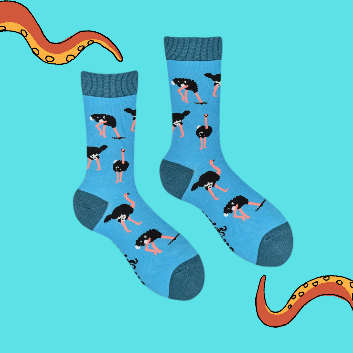 A pair of socks depicting Ostriches. Bright blue legs, teal heel, toe and cuff.