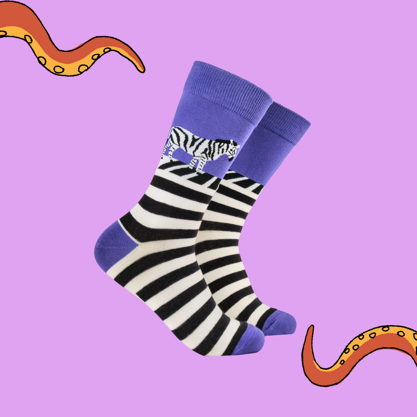 A pair of socks featuring a zebra on a zebra crossing. Striped legs, purple heel, toe and cuff.