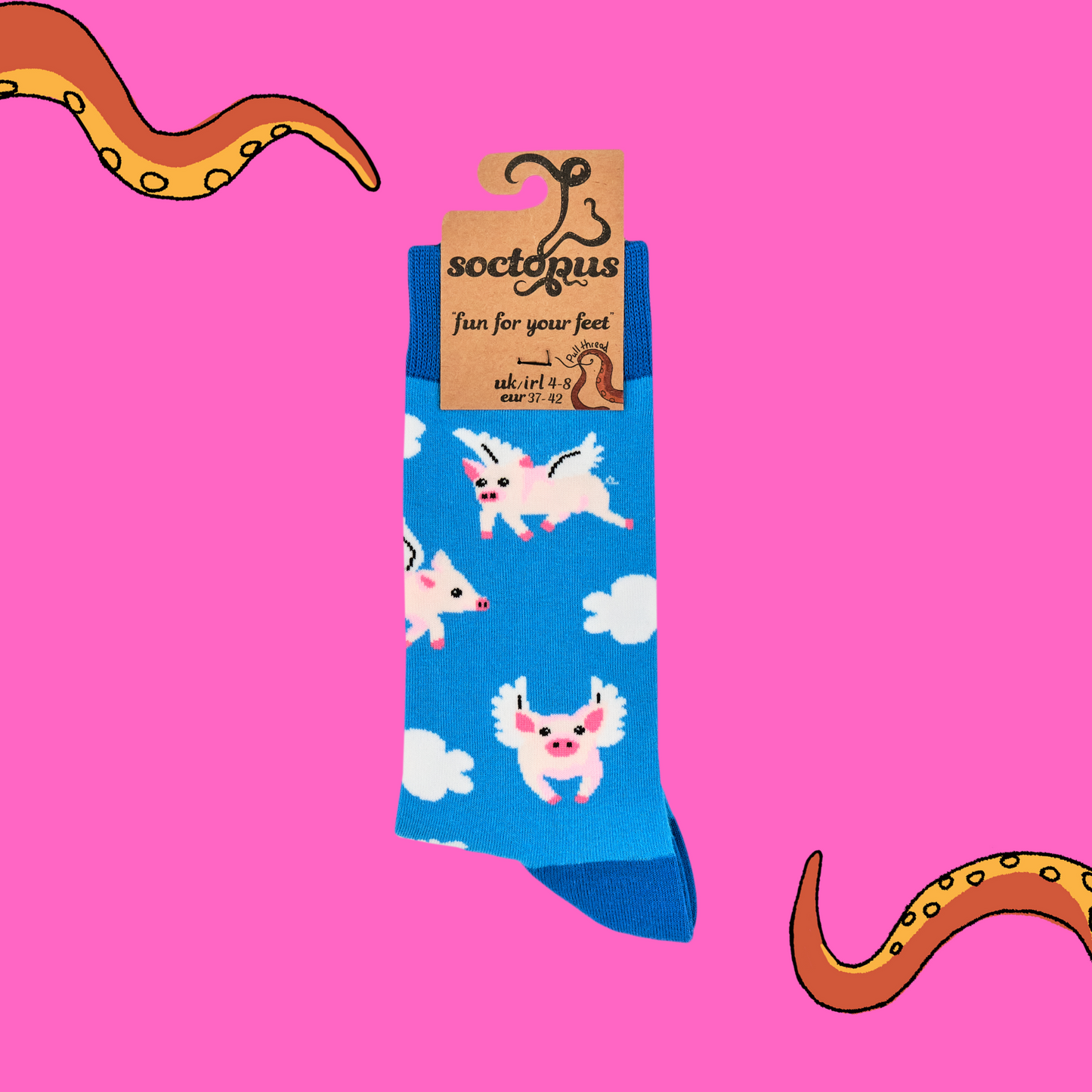 A pair of socks with a flying pig motif. Light blue legs, dark blue heel, toe and cuff.