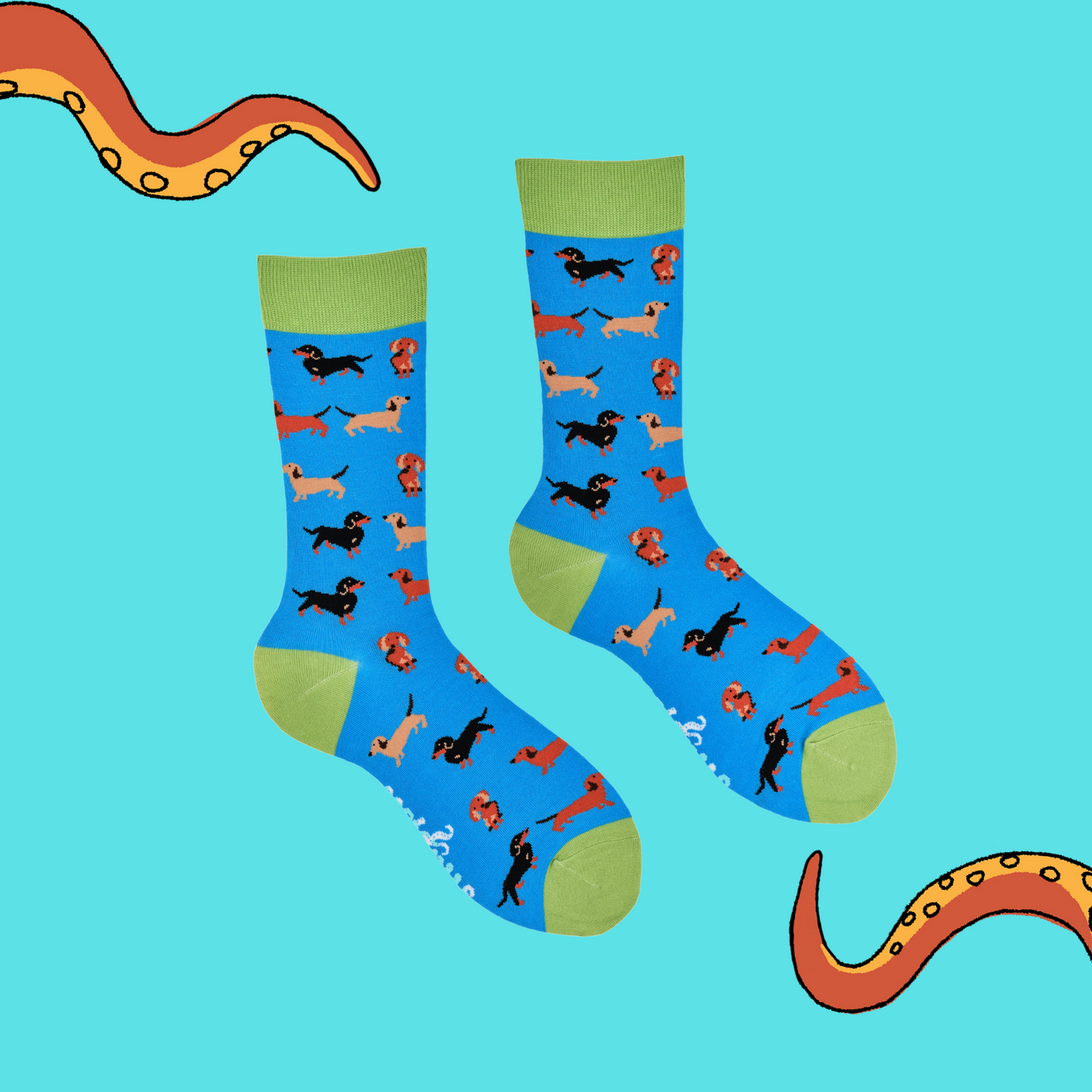 A pair of socks depicting sausage dogs. Blue legs, green cuff, heel and toe.