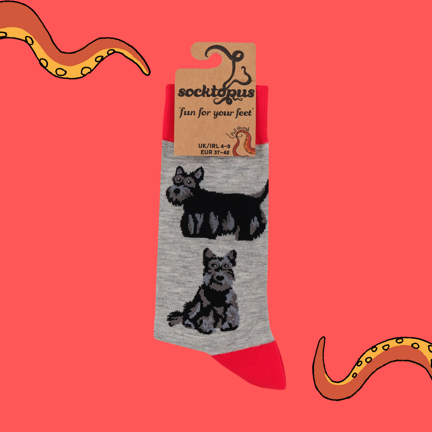 A pair of socks featuring a scottie dog motif. Grey legs, red heel toe and cuff.