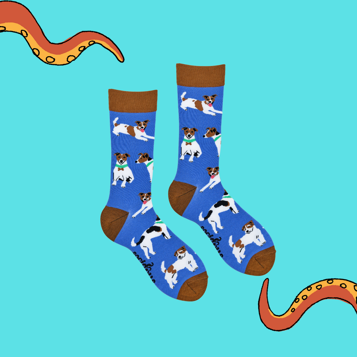 A pair of socks depicting jack russel dogs. Blue legs, brown cuff, heel and toe.