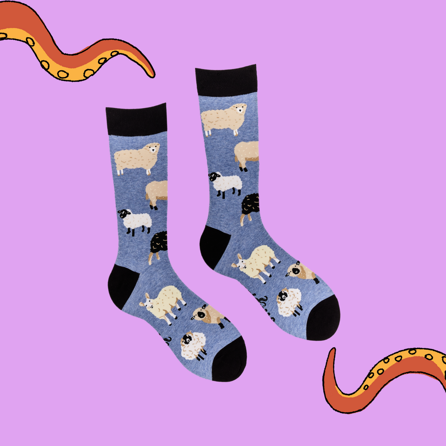 pair of socks depicting different breeds of British sheep. Blue legs, black cuff, heel and toe.