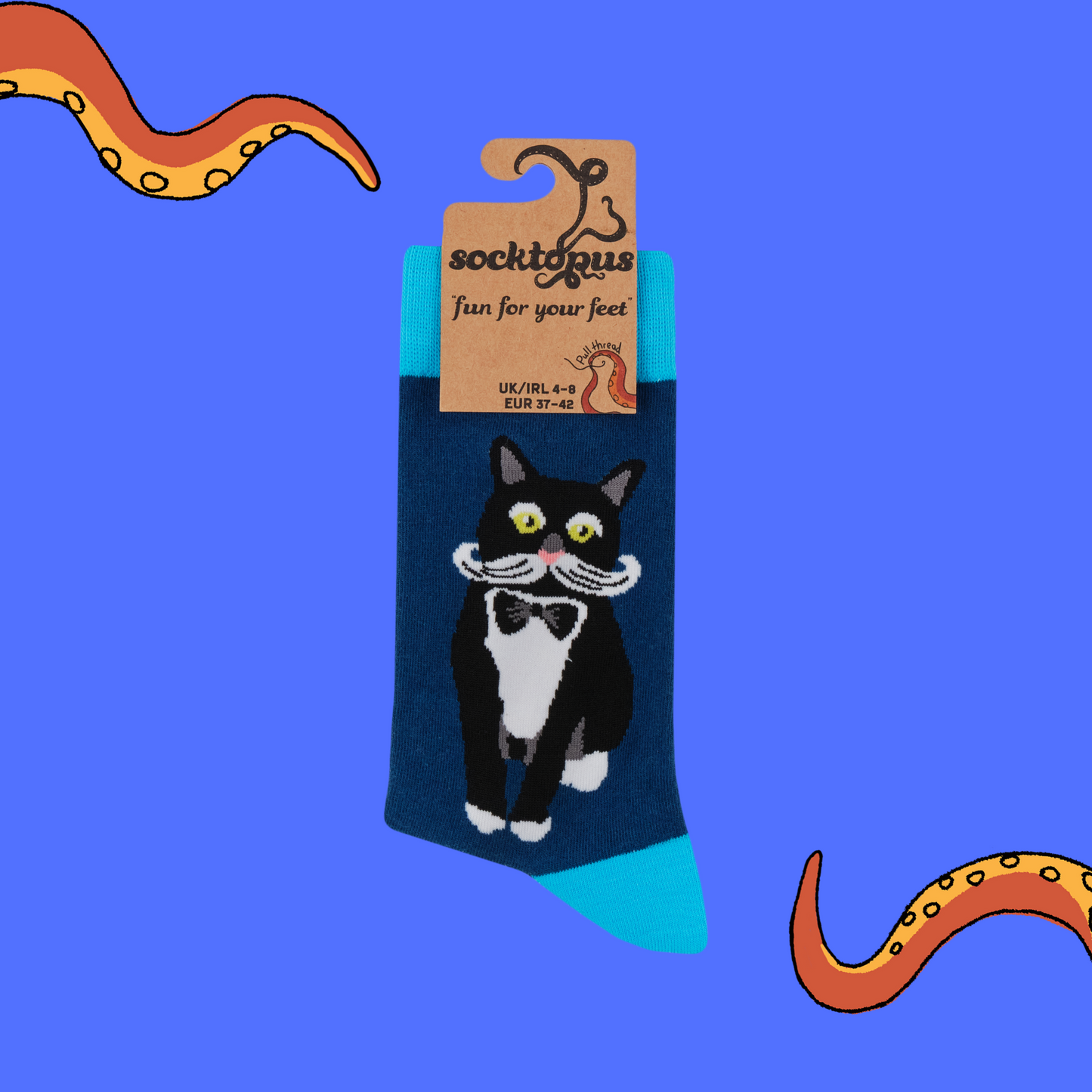 A pair of socks featuring a posh looking cat. Blue legs, light blue heel, toe and cuff.