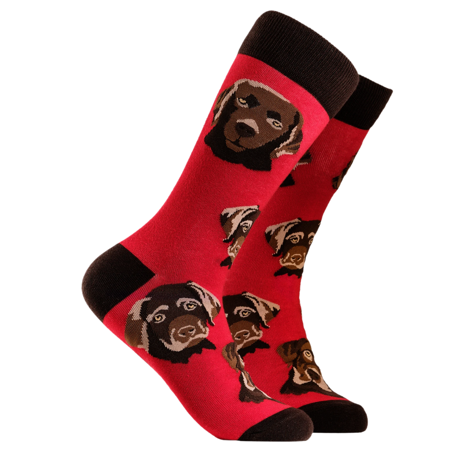 A pair of socks depicting chocolate Labradors. Red legs, brown cuff, heel and toe.