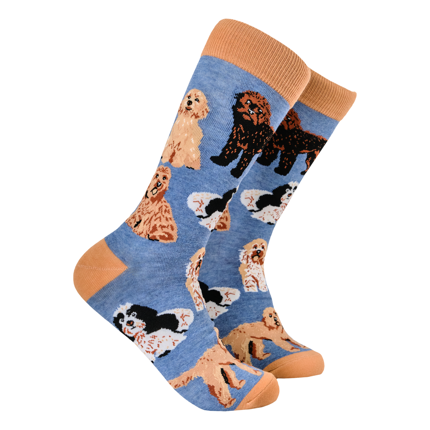 Cockapoo Socks - Cockapoodle-Doo. A pair of socks featuring cockapoo dogs. Blue legs, brown heel, toe and cuff.