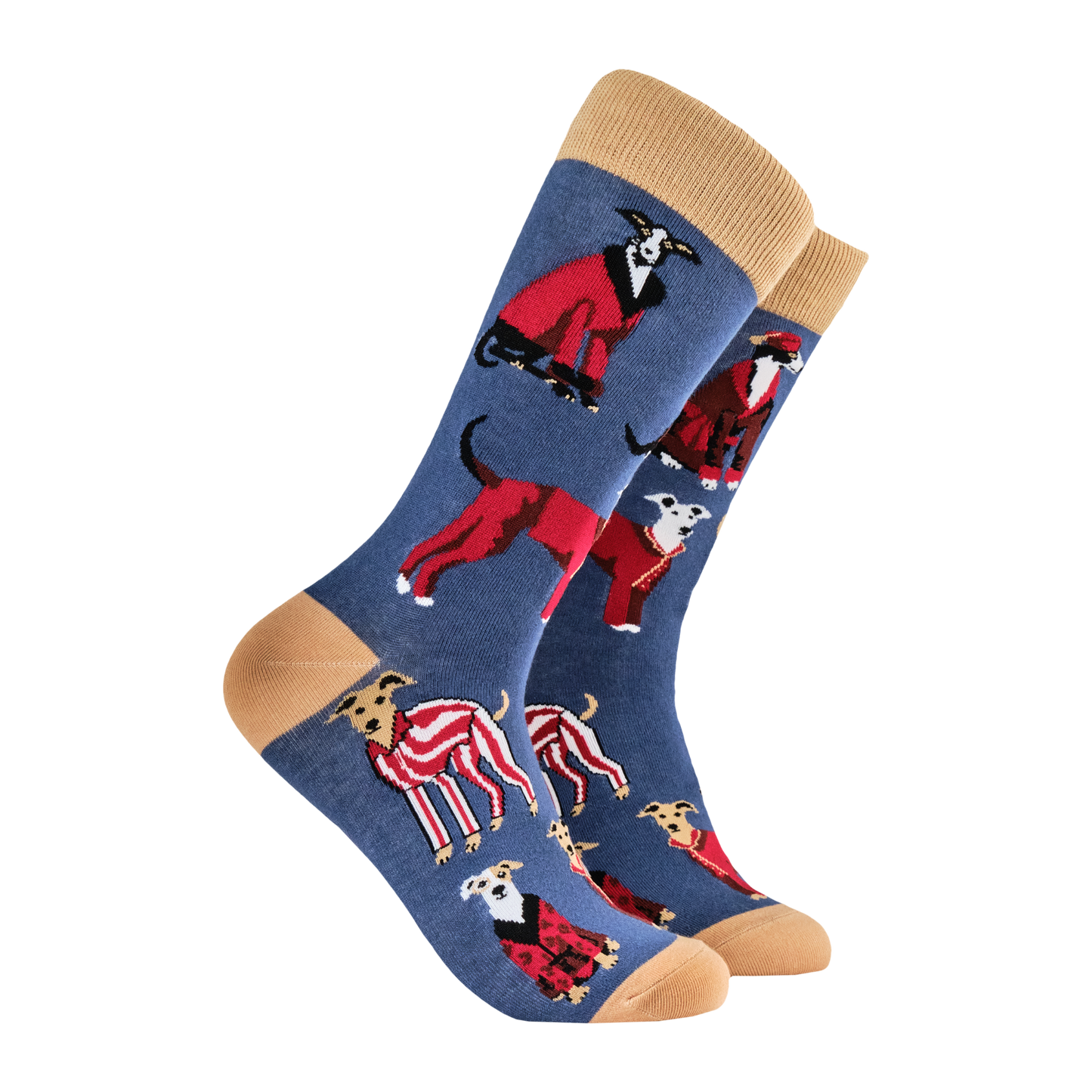 Italian Greyhound Socks - Gentleman's Best Friend. A pair of socks depicting greyhounds dressed up like italian gentlemen. Blue legs, brown heel, toe and cuff.