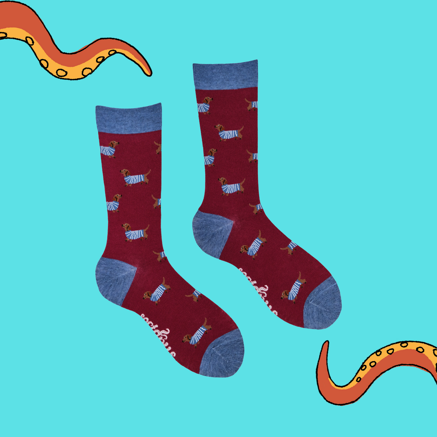 A pair of socks depicting sausage dogs wearing jumpers. Red legs, light blue cuff, heel and toe