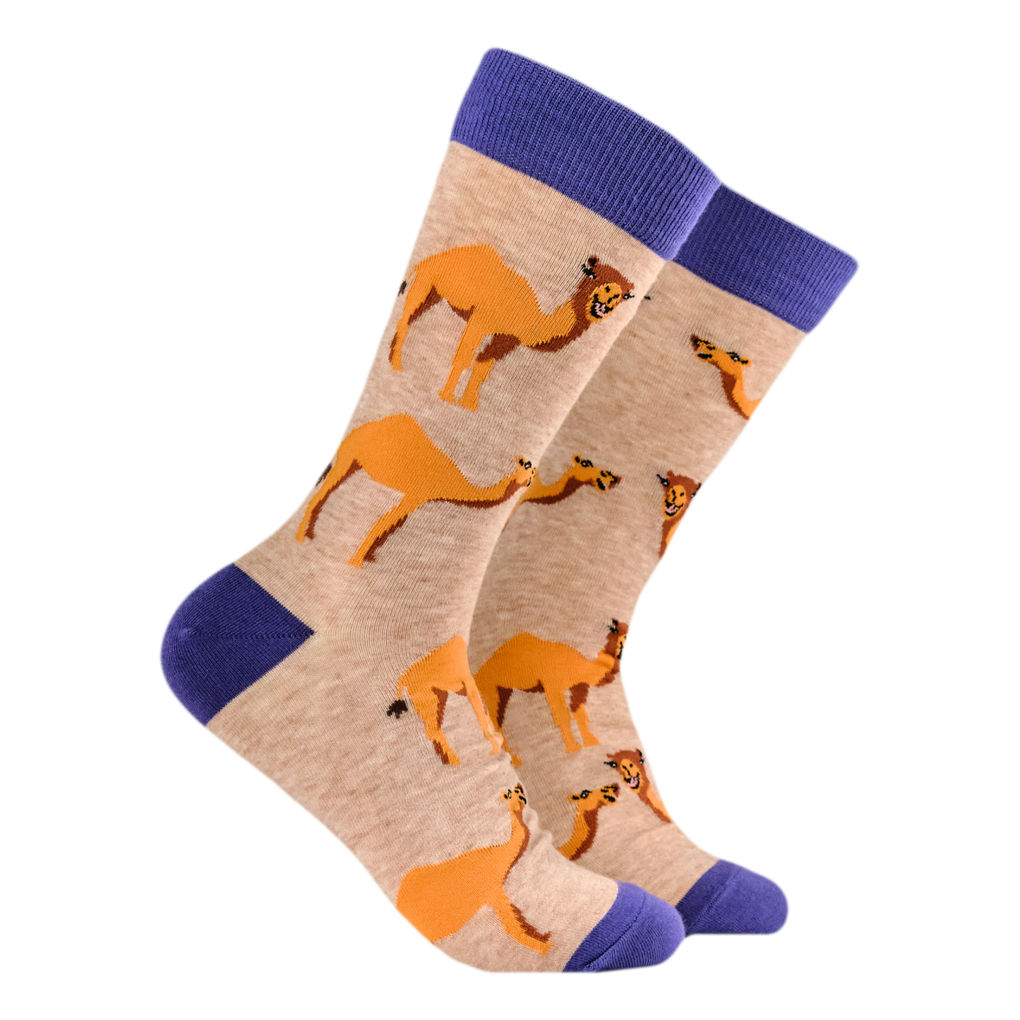 Happy Hump Day Socks. A pair of socks depicting camels, beige legs, blue heel, toe and cuff.