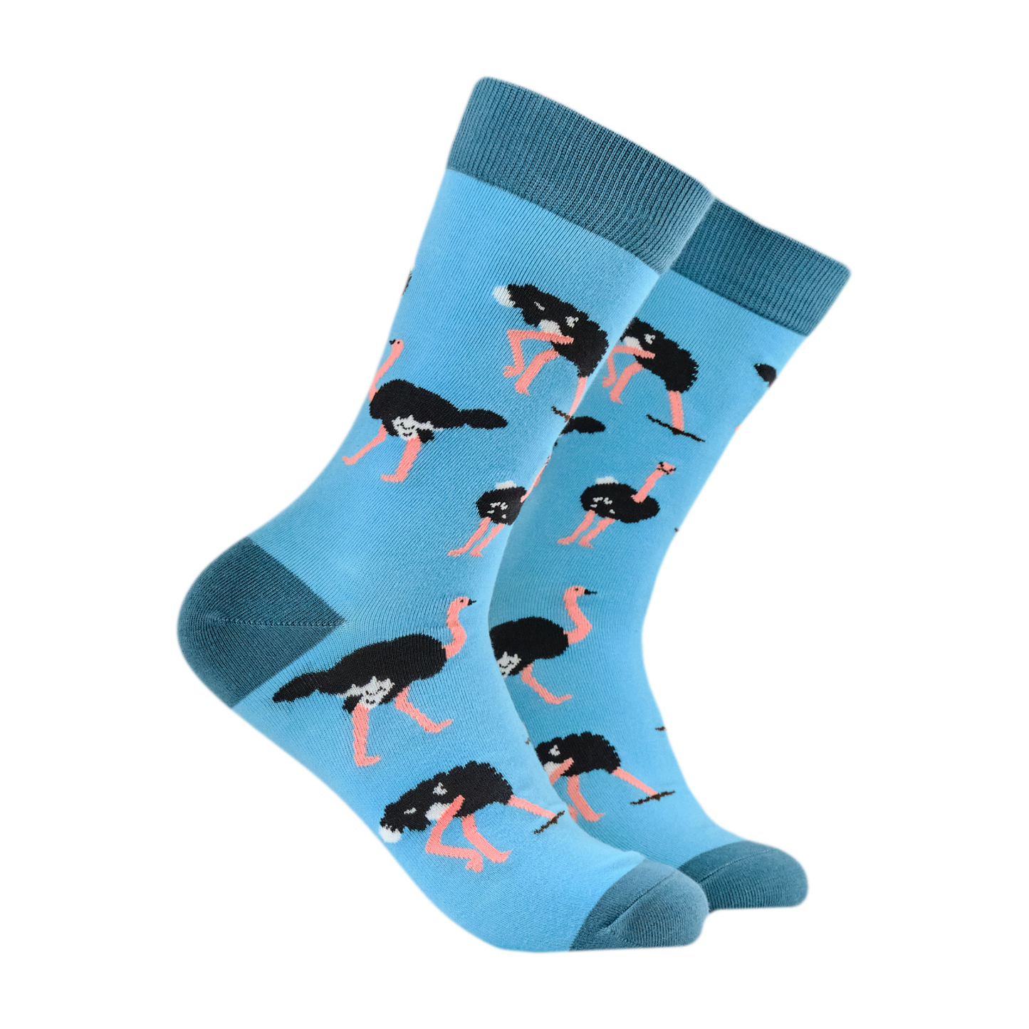 Ostrich Socks - Head in Sand. A pair of socks depicting Ostriches. Bright blue legs, teal heel, toe and cuff.